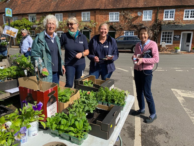 display of garden plants for sale and volunteers at the 2023 Newbury Riding for the Disabled Cake and Plant Sale